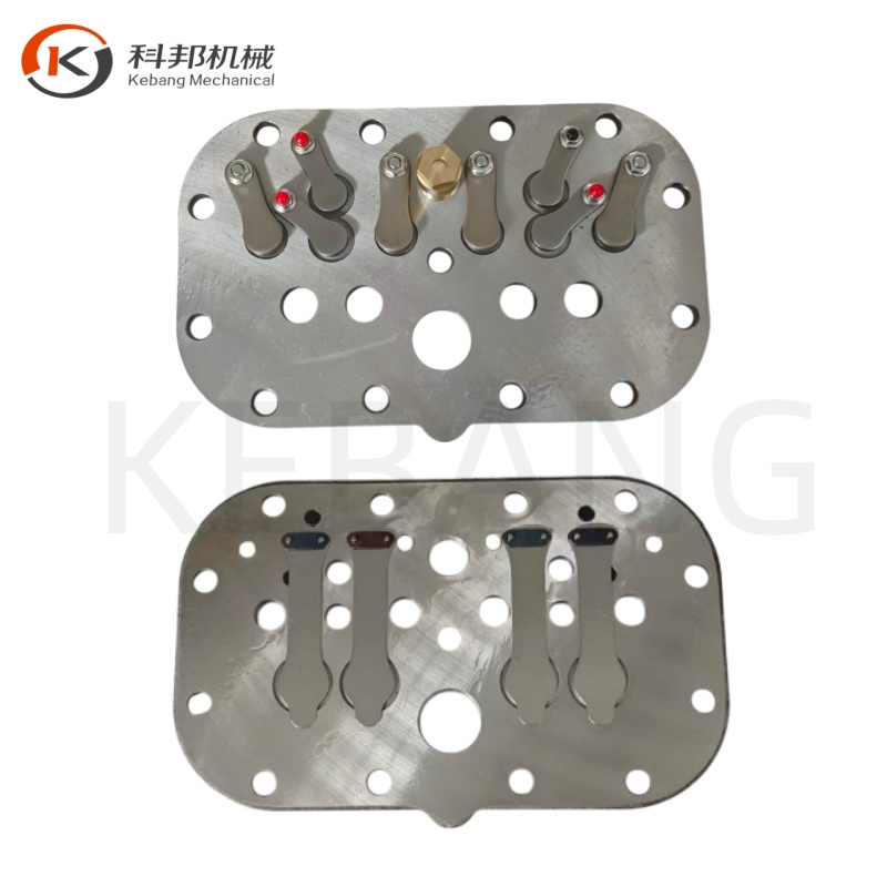 S6501026DS2 S4491156 Z30 102 51Y Valve Plate of Complete for Frascold Refrigeration Compressor